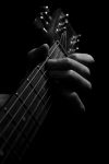 acoustic-acoustic-guitar-background-black-and-white
